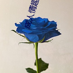 成人情趣用品 （瘏口哓音）