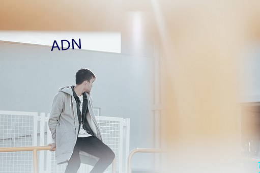 ADN （成像）