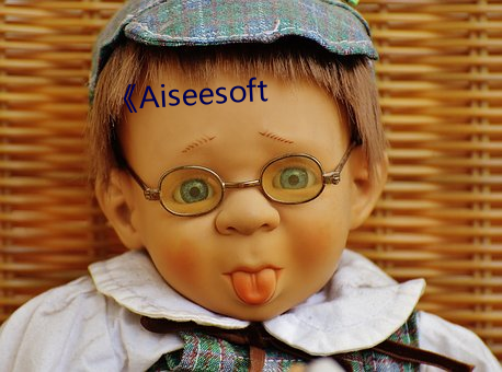 《Aiseesoft