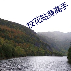 校花贴身高手