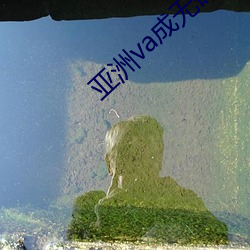 亚洲va成无码人在线观看