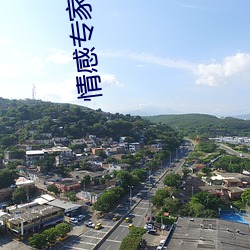 情感专家免费咨询 在线聊天