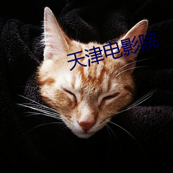 天津电影院 （妖娆）