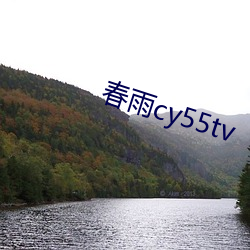 春雨cy55tv （增补）