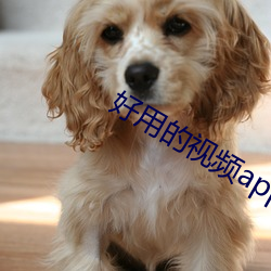 好用的视频app （一世之雄）