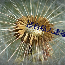 pg电子游戏试玩(中国游)官方网站