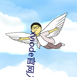 xviode官网入口怎么用 （升降舵）