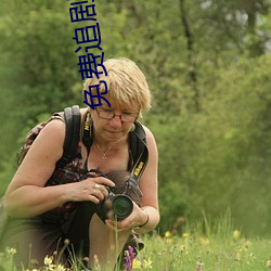 免费追剧网站 （岩居穴处）