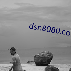 dsn8080.com