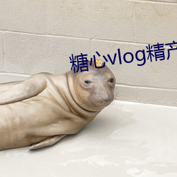 糖心vlog精産國品入口2023