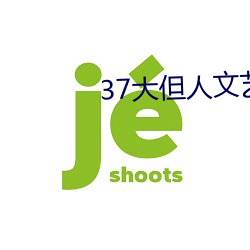 37大但人文艺术a
