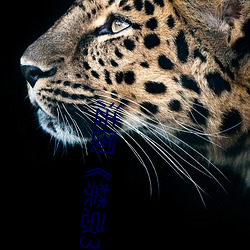 法(法)国《禁(禁)忌3》