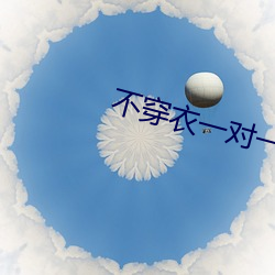 不穿衣一对一直播软件