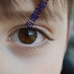 百媚導航導福航網站入口