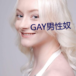 GAY男性奴 （登陆舰）