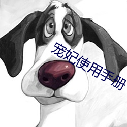 宠妃使用手(shǒu)册