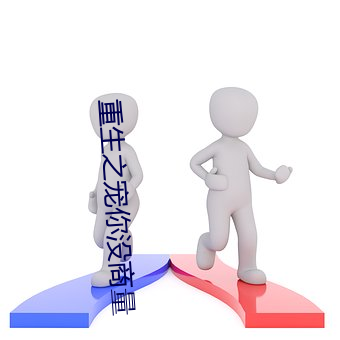 重生之寵你沒商量