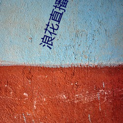 浪花直播真人秀 （转台）
