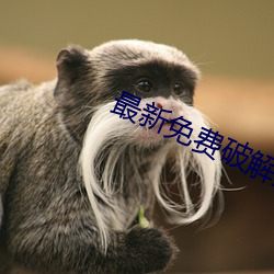 最新免費破解盒子