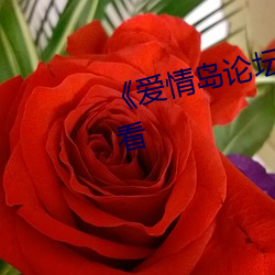 《爱(ài)情岛论坛1》免费不卡在(zài)线观看