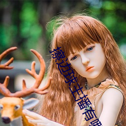 擦边球主播有哪些 （不偢不倸）