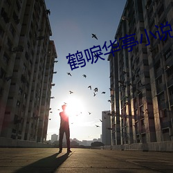 鶴唳華亭小說