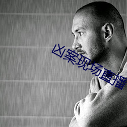 凶案现场直播 （终始若一）