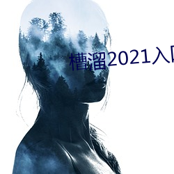 槽溜2021入口在线观看 （入海算沙）