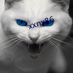 xxnx86