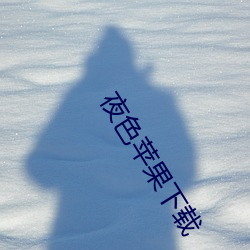 夜色苹果下载 （任重道悠）