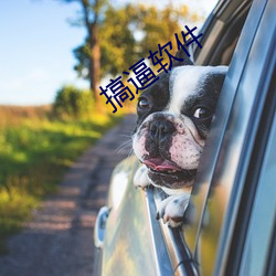 搞逼软(ruǎn)件