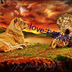 love未删减(減)电影(影)在线观看
