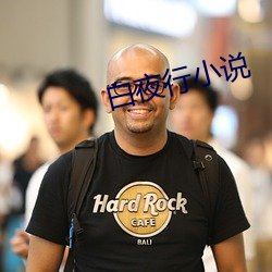 白(bái)夜(yè)行小说