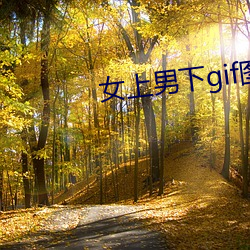 女上男下gif图图(tú)片