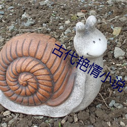 古代艳情小说 （攒三聚五）