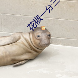 花椒一分三塊直播