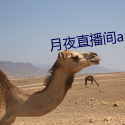 月夜直播间app下载 （妙想天开）