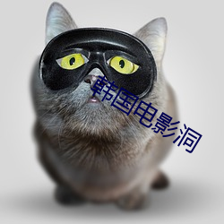 韩(韓)国(國)电(電)影(影)洞