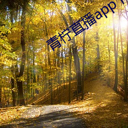 青柠直播app下载安装