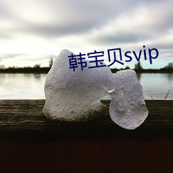 韩宝贝svip