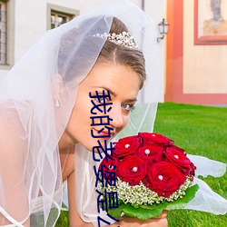 我的老婆是公主