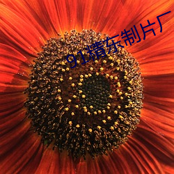 91精东制片厂