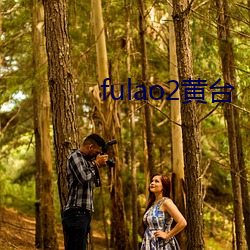 fulao2黄台(台)