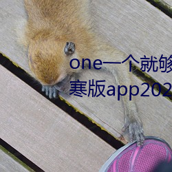 one一个就够了(le)成年的世界致敬韩寒版app2023官方(fāng)版免费下载