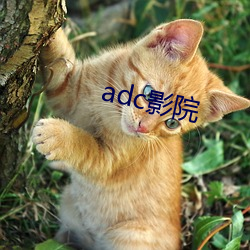 adc影院 （抱瓮灌园）