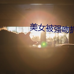 美女被强吻抓胸 雨僝风僽）