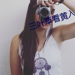 三叶草看黄入口