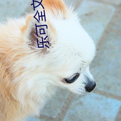 乐可全文阅读(dú)
