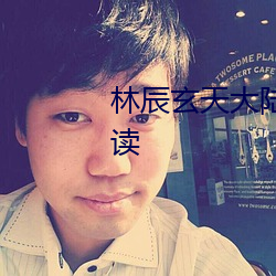林辰玄天大陆大魏国小说(說)免费阅(閱)读(讀)