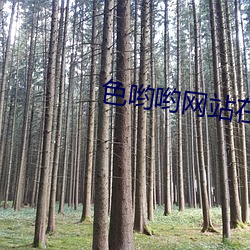 色哟(喲)哟网站(站)在线(線)观(觀)看入口